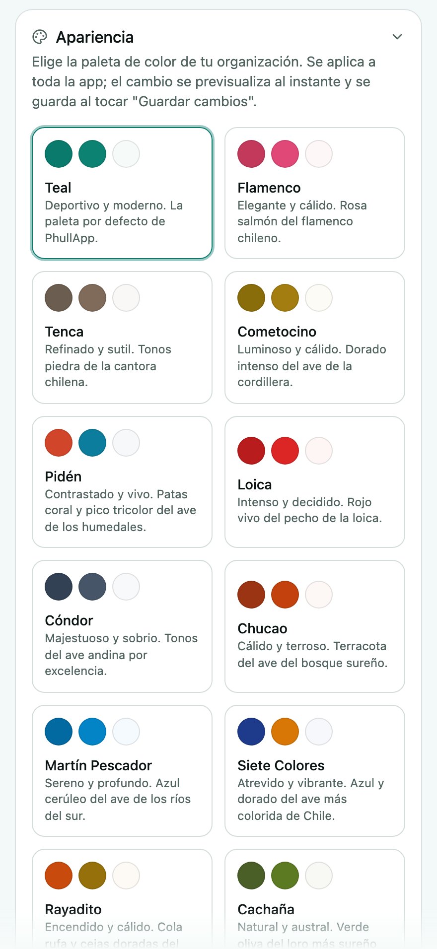 Ajustes de apariencia: paletas con nombre propio, como Flamenco, Cóndor o Martín Pescador, para que cada gimnasio elija cómo se ve su app.
