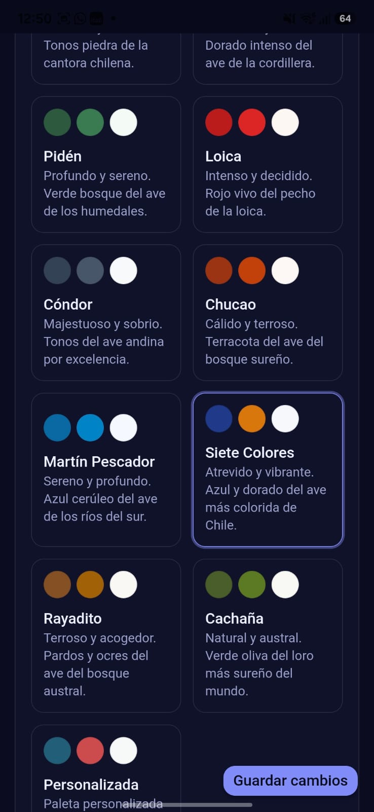 Ajustes de paleta de color: cada gimnasio elige cómo se ve su app.