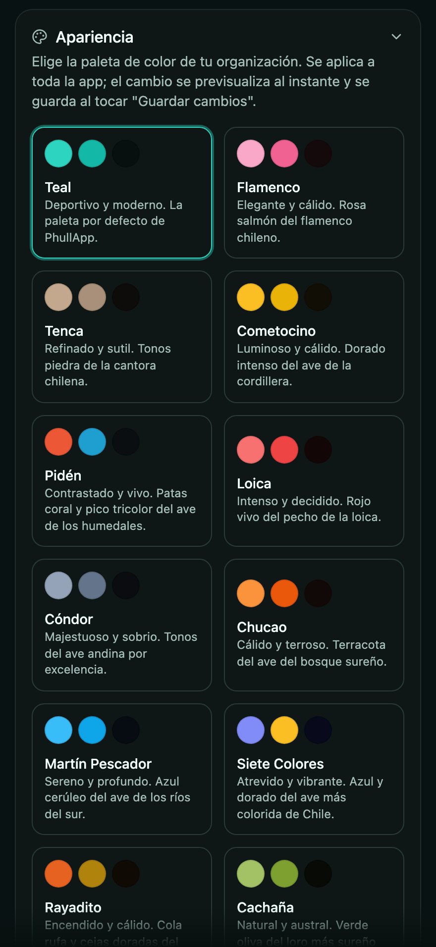 Ajustes de apariencia: paletas con nombre propio, como Flamenco, Cóndor o Martín Pescador, para que cada gimnasio elija cómo se ve su app.